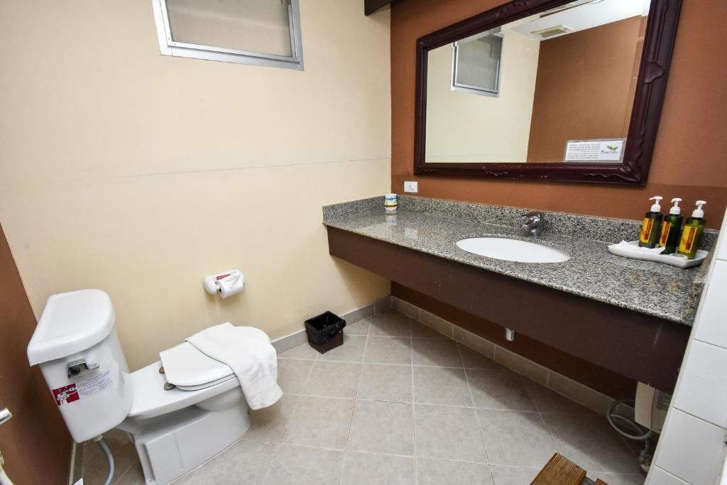 Een badkamer met toilet, wastafel en spiegel.