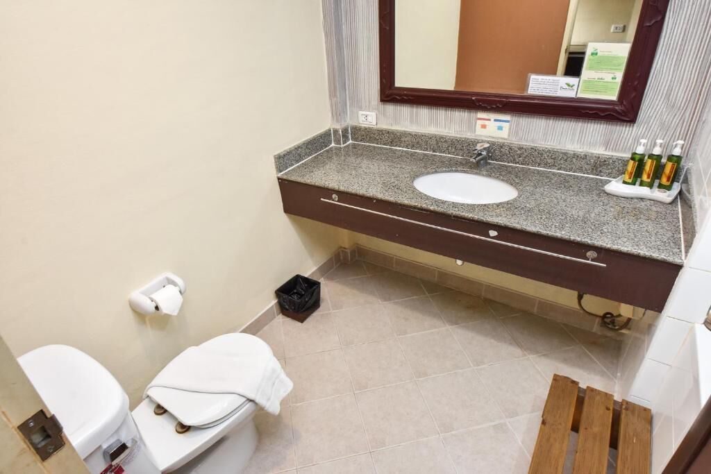 A bathroom with a sink, mirror, toilet, and a trash bin.