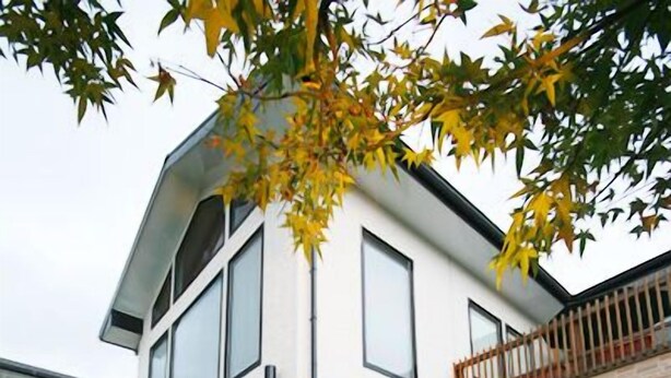 A modern two-story house with a koi pond in the front yard. - Cypress House (Ji'an)