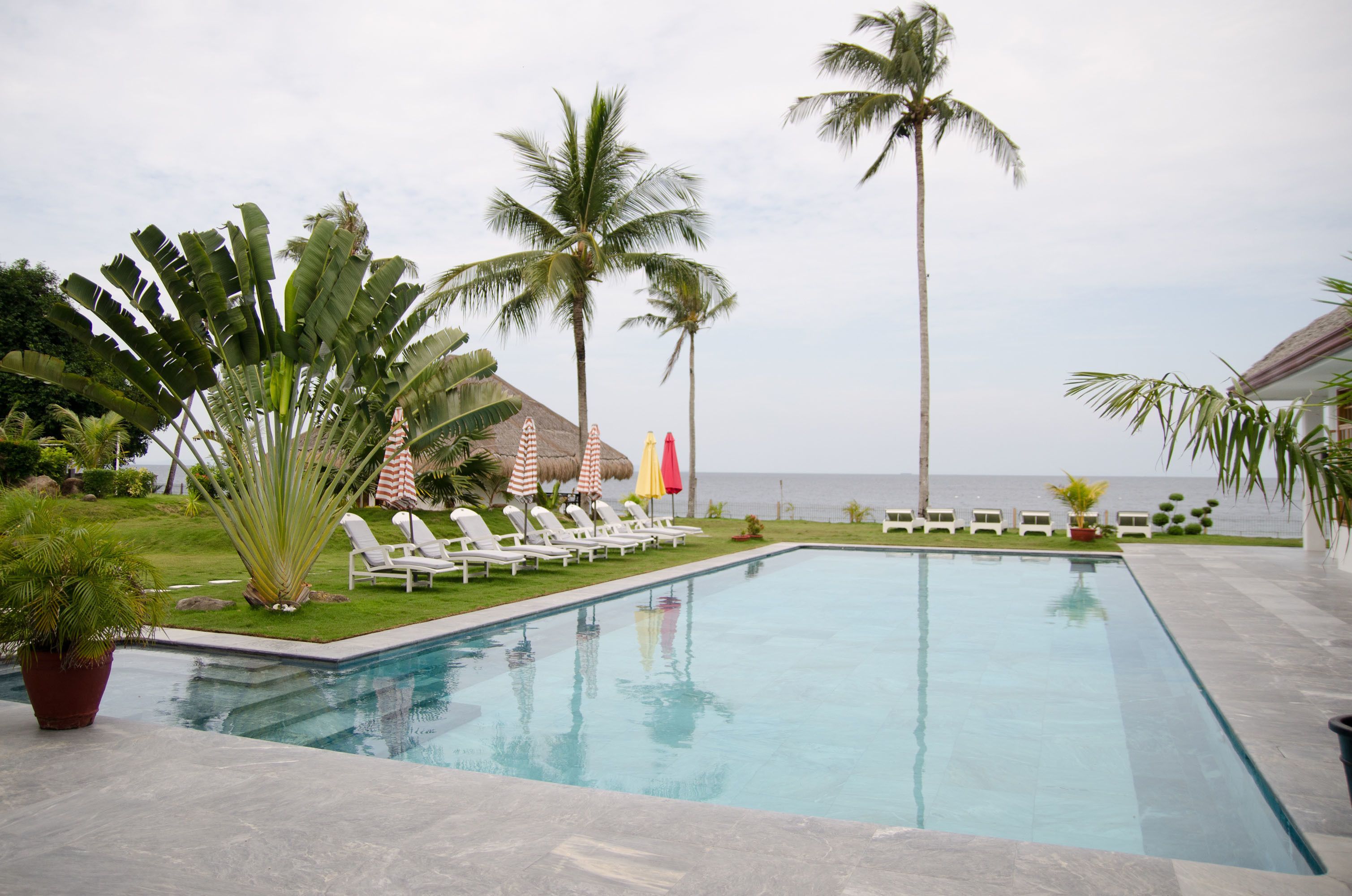 A swimming pool with lounge chairs and umbrellas, surrounded by palm trees and a view of the sea.