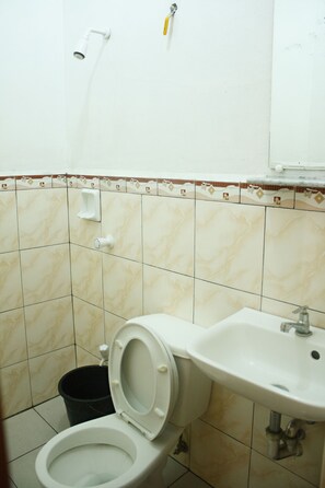 Chuveiro, secador de cabelo (mediante solicitação), toalhas de banho 
