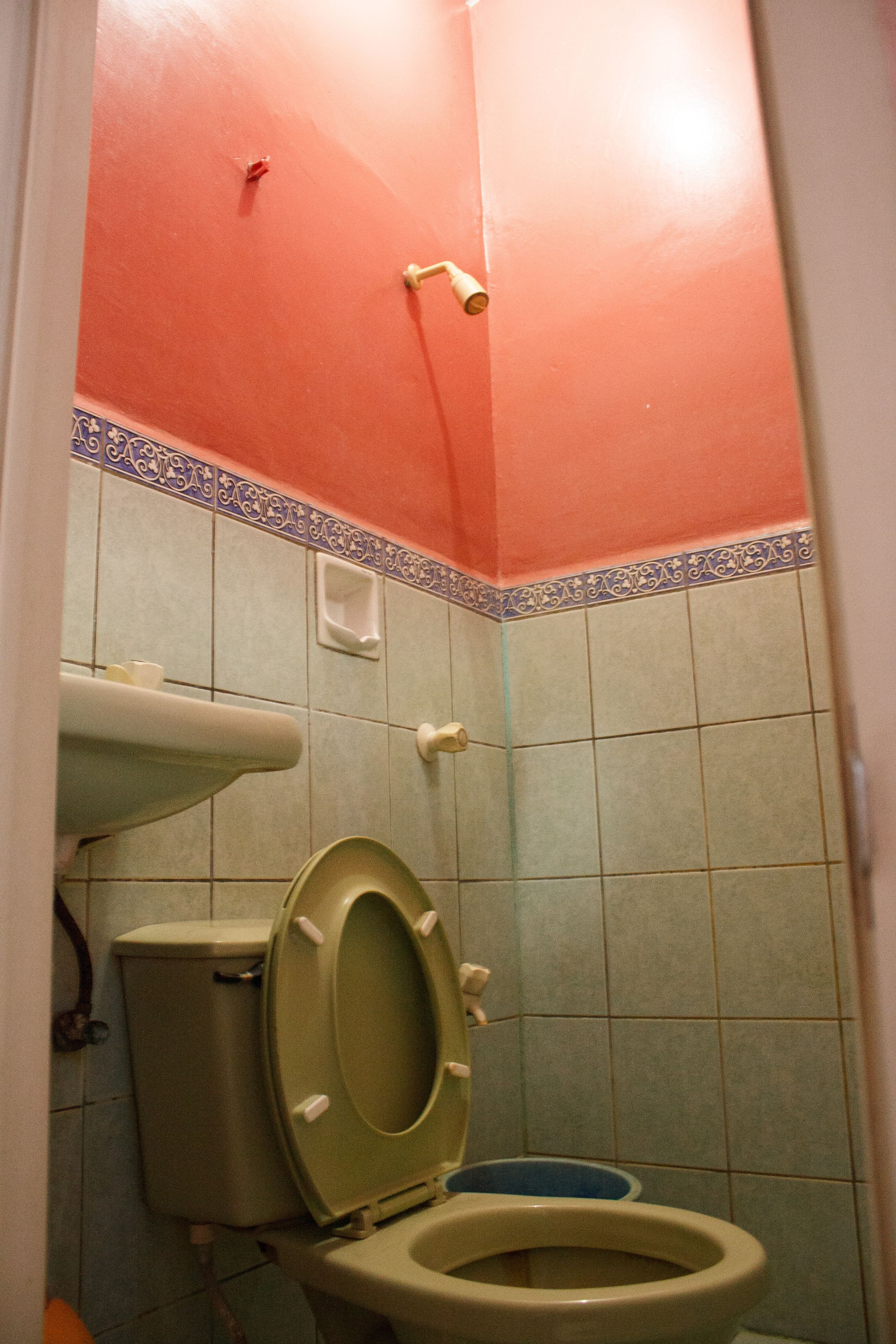 A bathroom with a toilet, a sink, and a shower.