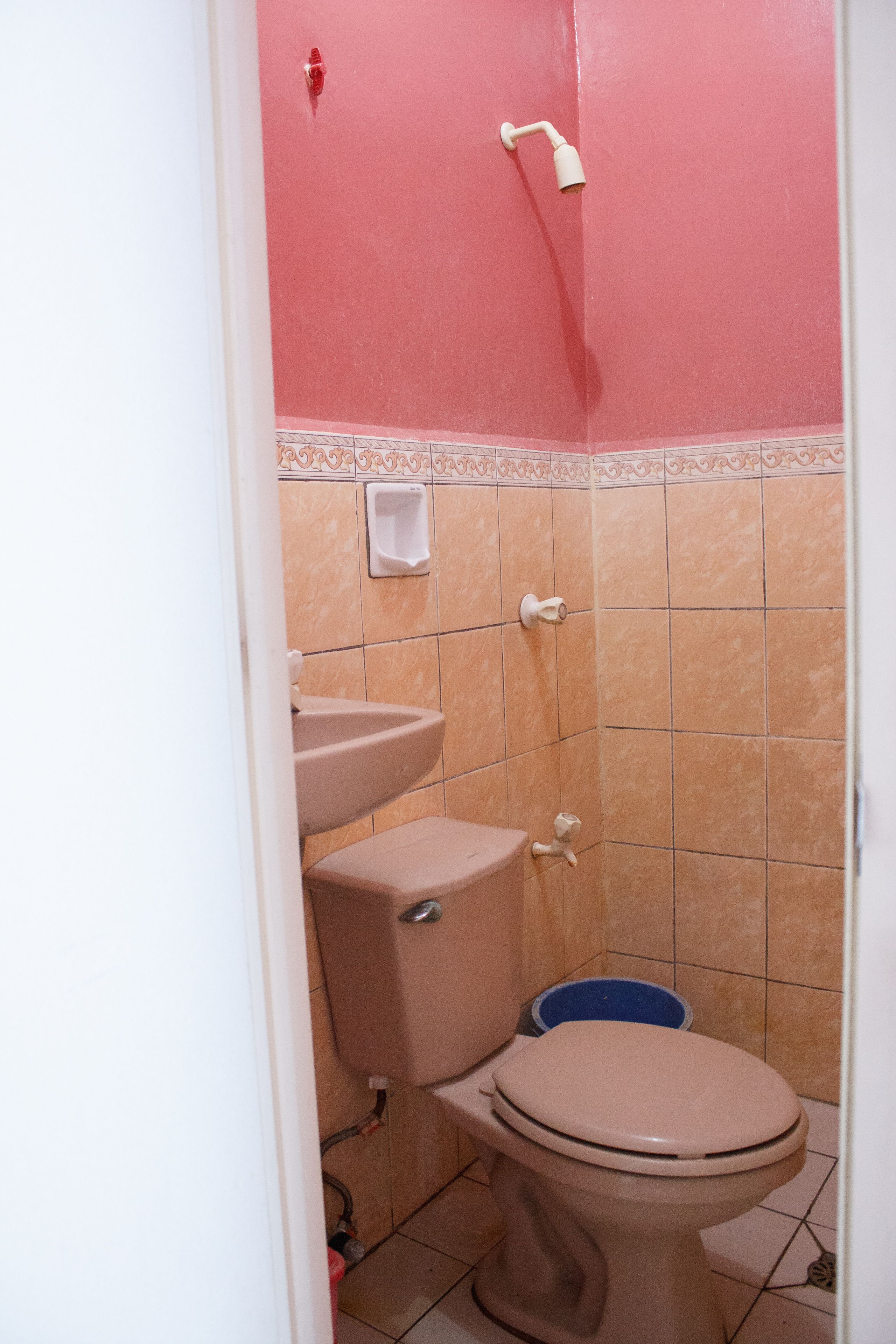 A bathroom with a toilet, sink, and shower.