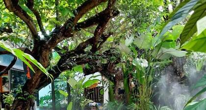 Floraville Phuket Resort