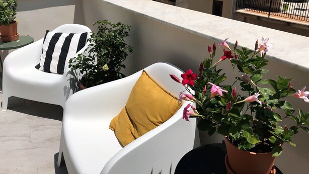 A balcony with two white chairs, one with a black and white striped pillow and the other with a mustard-colored pillow. There are potted plants with green leaves and pink flowers. The background shows a cityscape with buildings and a clear blue sky.