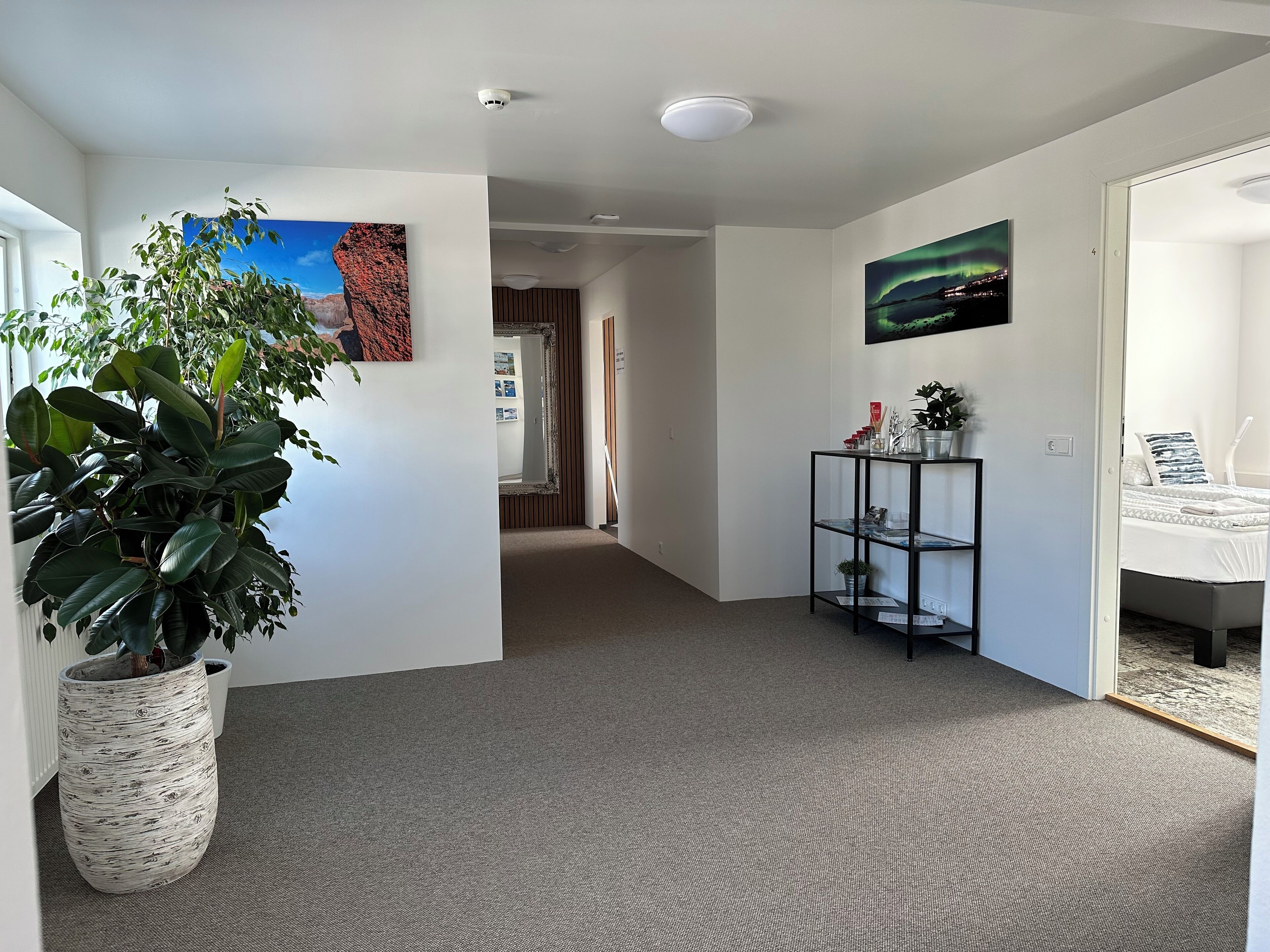 Habitación de hotel moderna con una planta grande en maceta, cama con ropa de cama blanca, una mesita con una planta y un televisor de pared que muestra una escena natural.