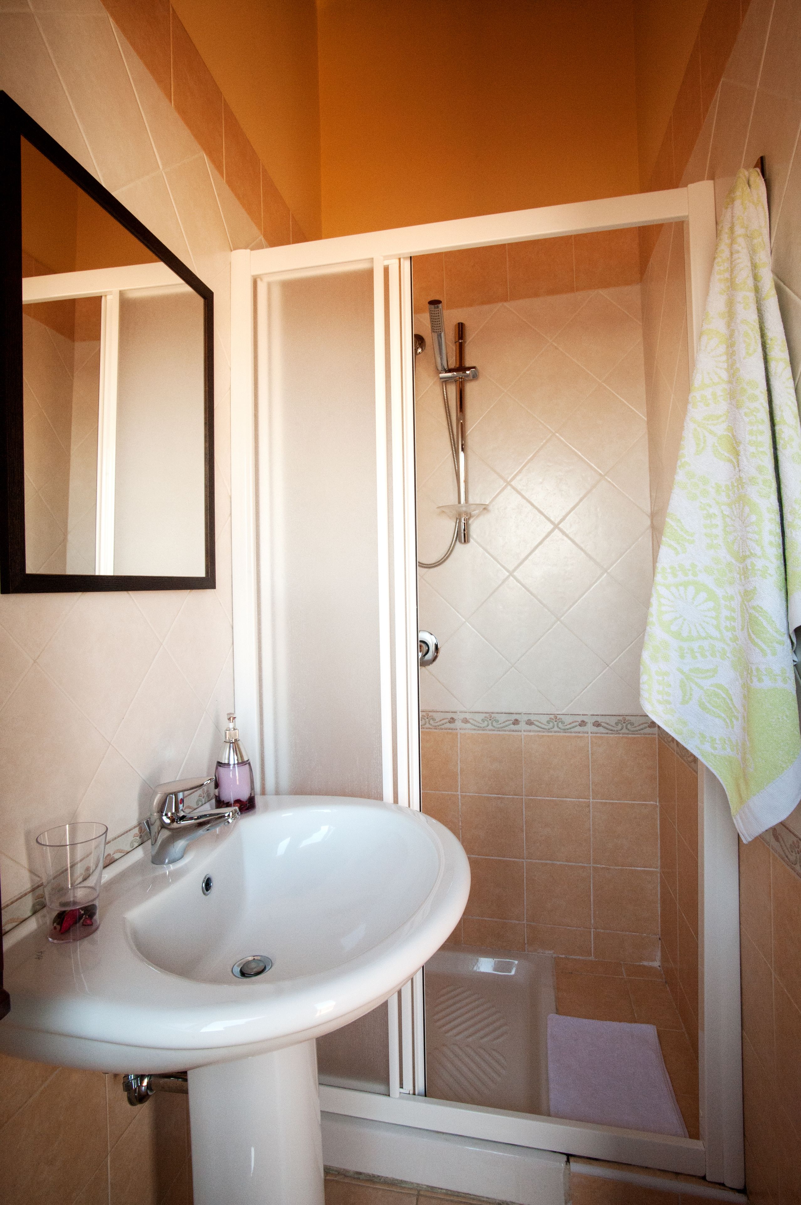 Baño con lavamanos, espejo, ducha y toallero.