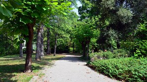 Un sendero pavimentado bordeado de árboles y follaje, que se adentra en un bosque.