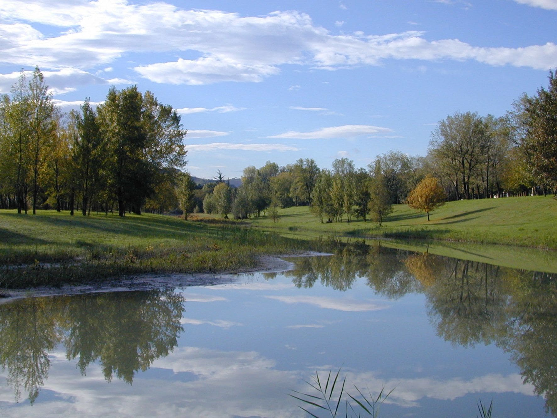 Foto - Hotel Terme di Castel San Pietro
