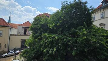 A building with a traditional facade, a large tree in front, and a clear sky.