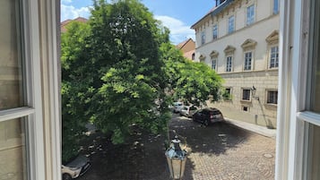 A cobblestone street with parked cars and a large tree in the foreground.