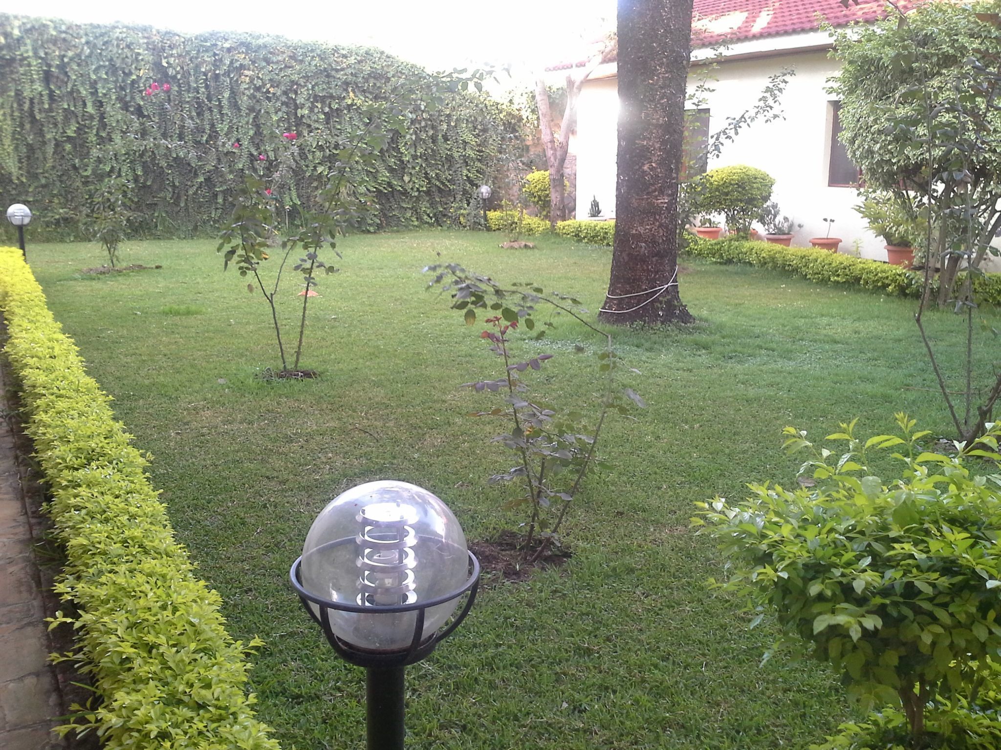 A well-maintained garden with a variety of plants, a spherical decorative lamp, and a building with a red-tiled roof in the background.