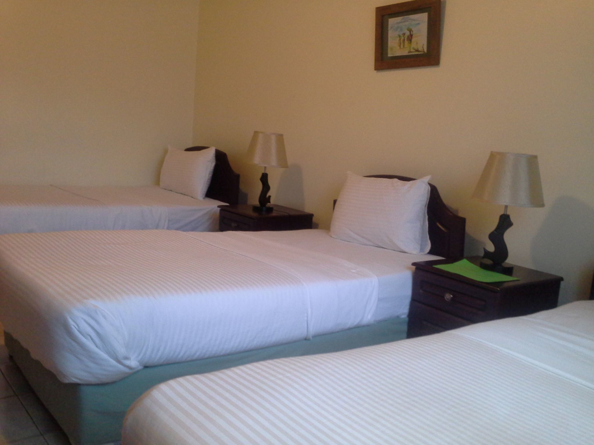 Premium bedding, in-room safe, desk, iron/ironing board