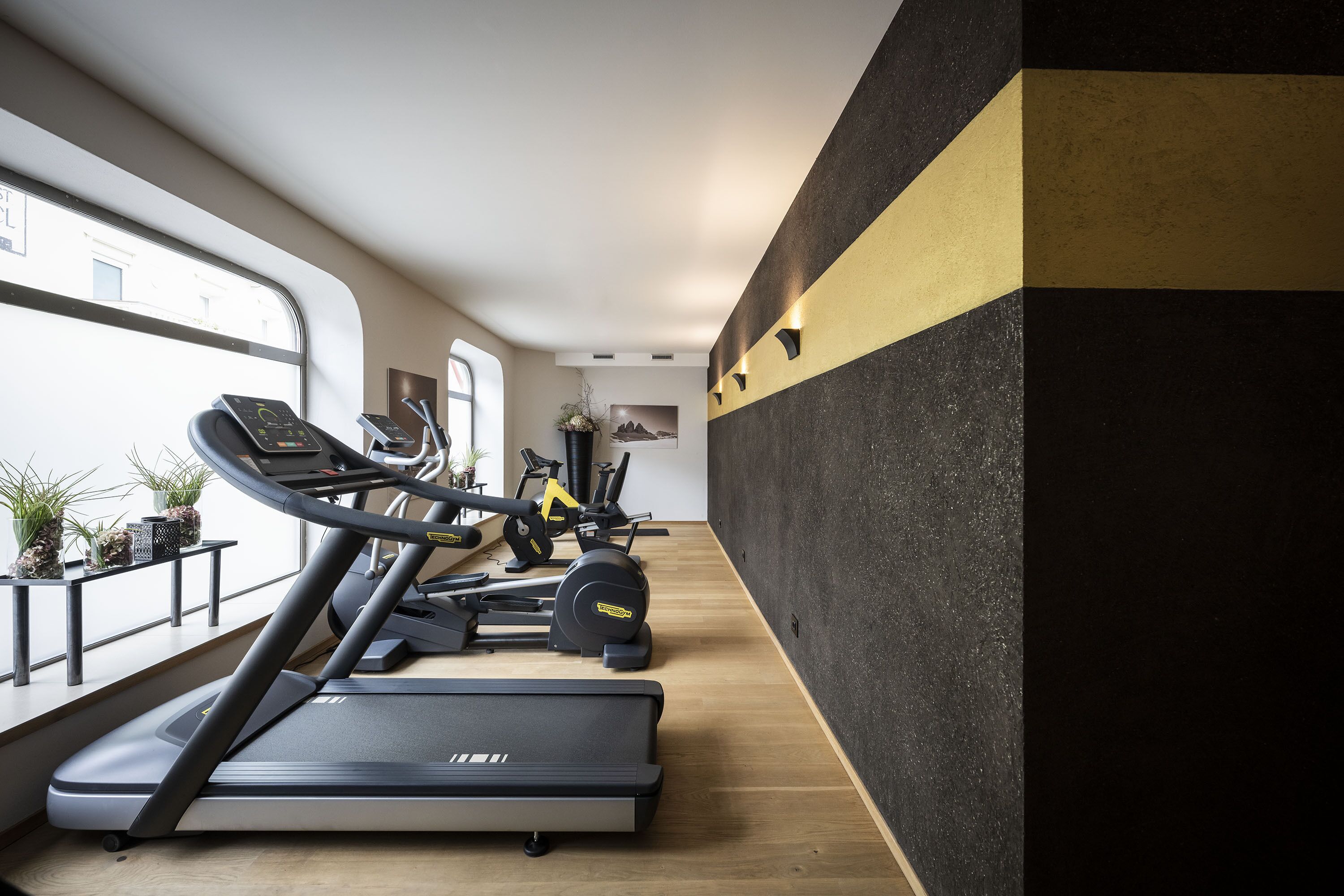 A gym with treadmills, stationary bikes, and a rowing machine.