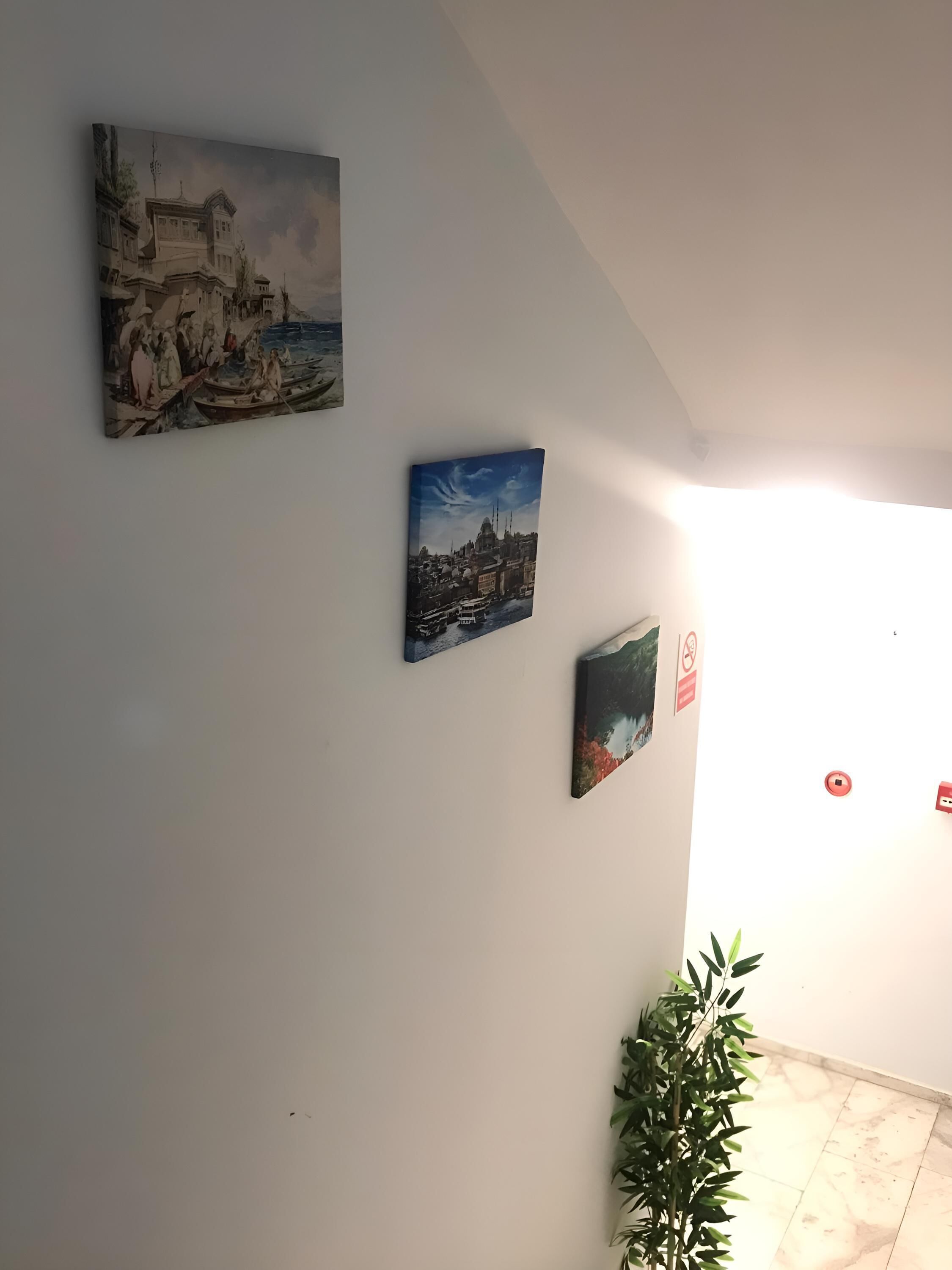 Ένας διάδρομος με τρεις πίνακες στον τοίχο, ένα φυτό σε γλάστρα και μια ορατή πρίζα.
