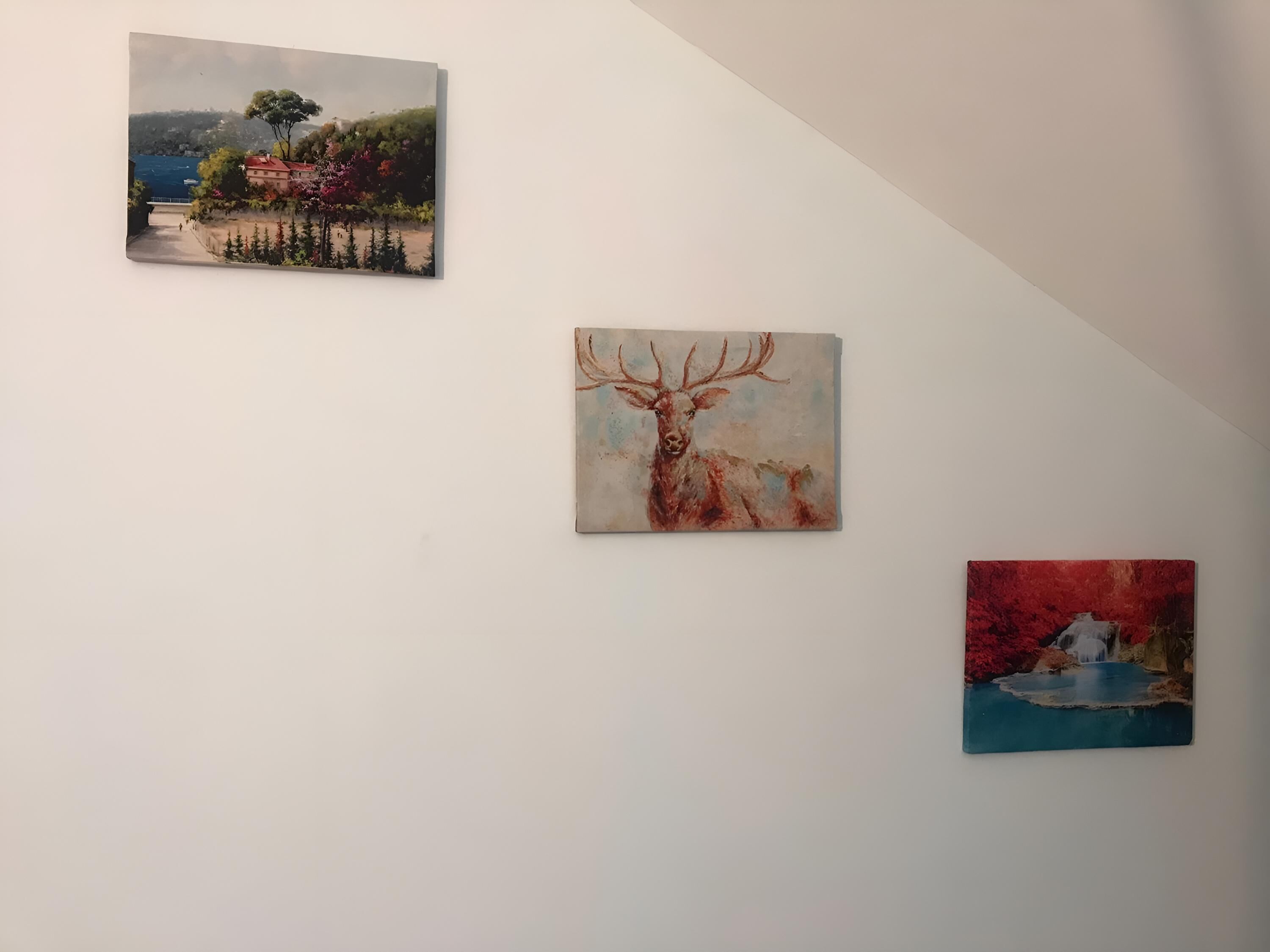 Tres cuadros colgados en una pared.