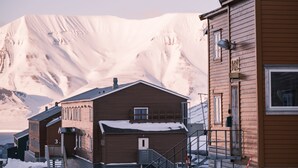 Uklassifisert bilde, 3 av 68, knapp