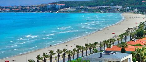 A coastal view with a beach, palm trees, and buildings in the background.
