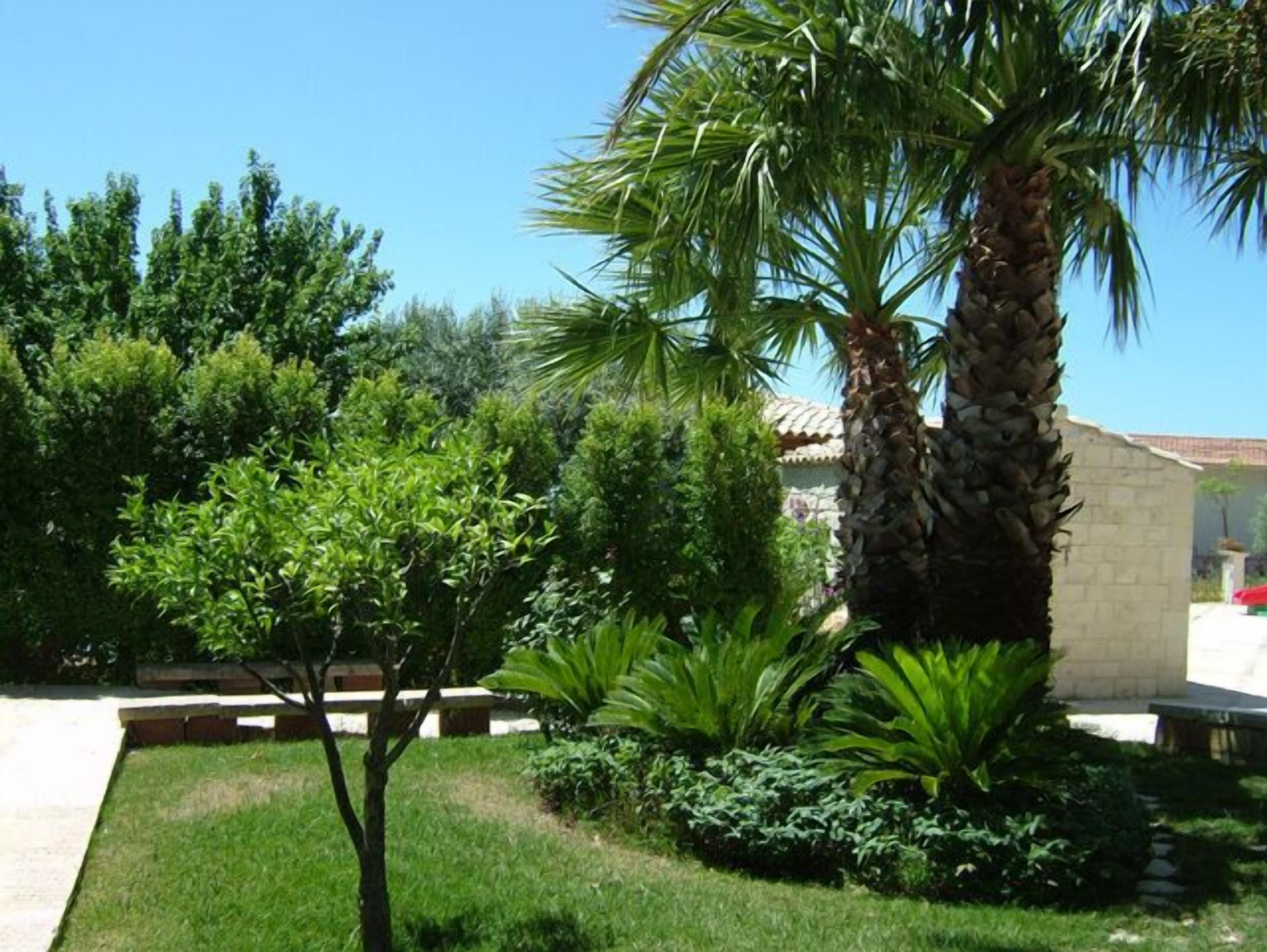 A well-maintained garden with various shrubs and a palm tree, a stone wall, and a building with a tiled roof.