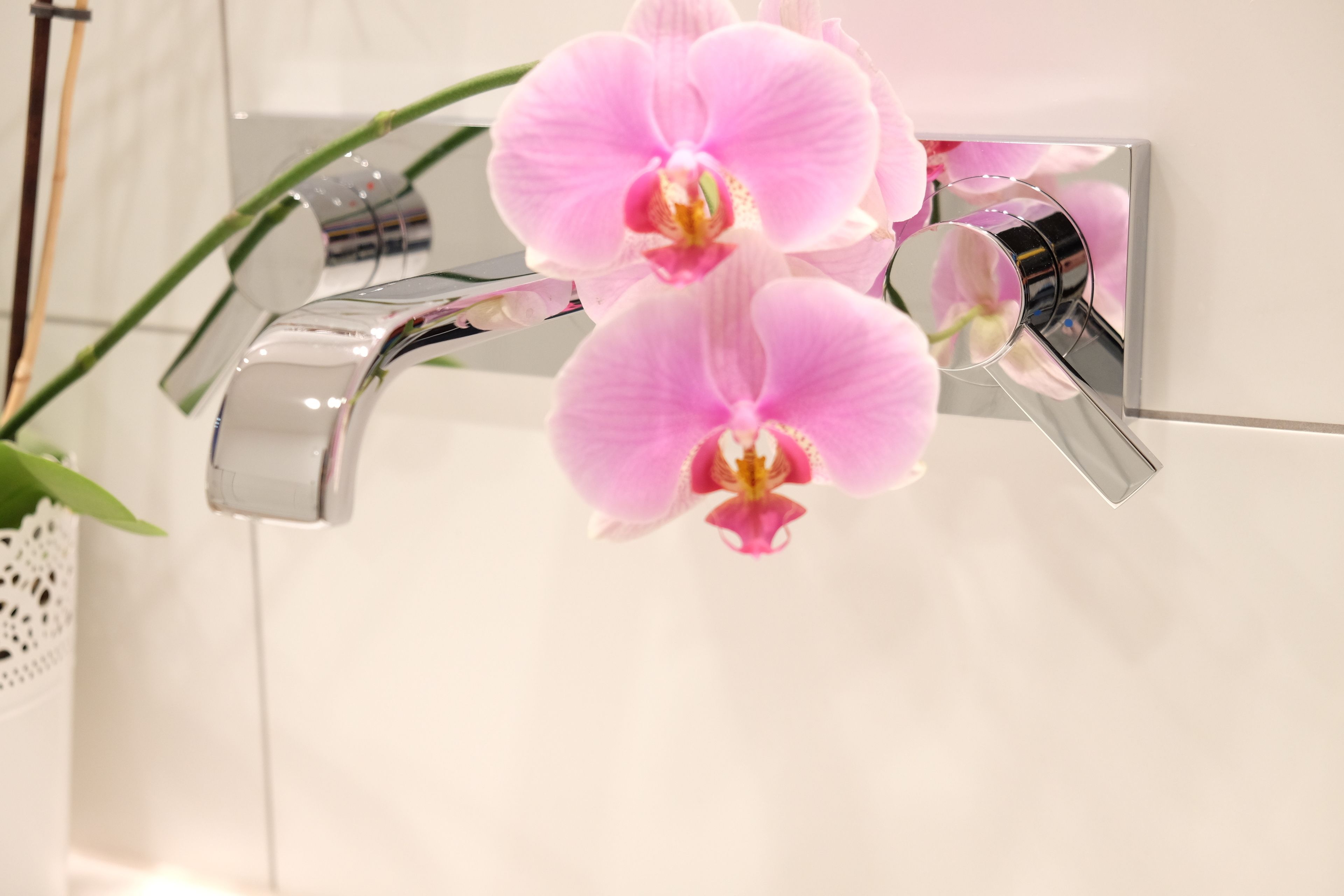 A bathroom with a modern chrome faucet and a potted orchid plant.