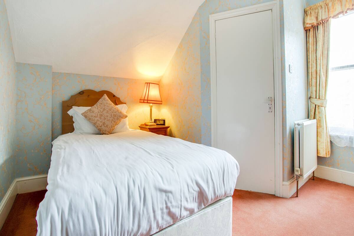 Standard Single Room, 1 Twin Bed | Desk, iron/ironing board (on request), WiFi (free), bed sheets