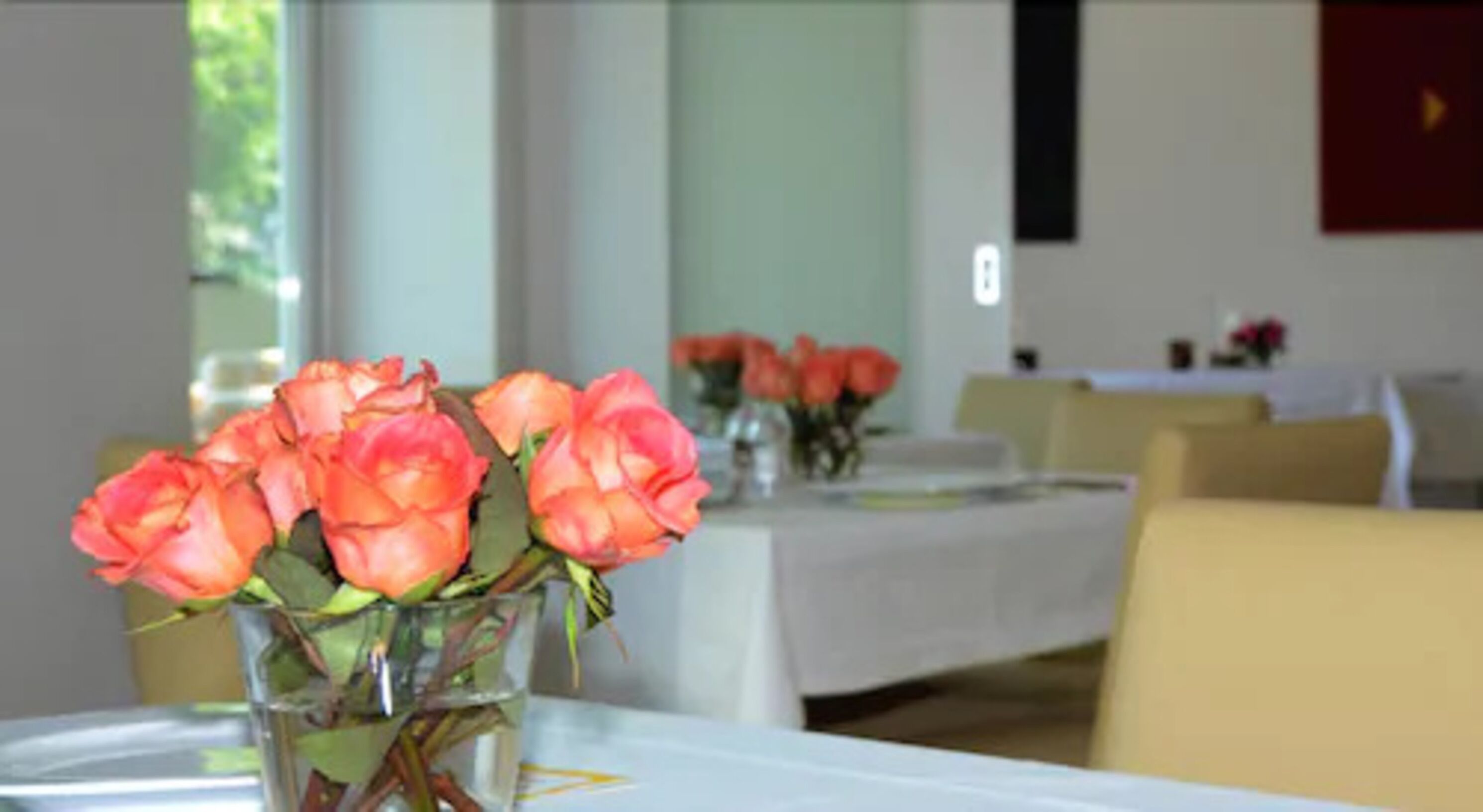 daily buffet breakfast (eur 10.00 per person)