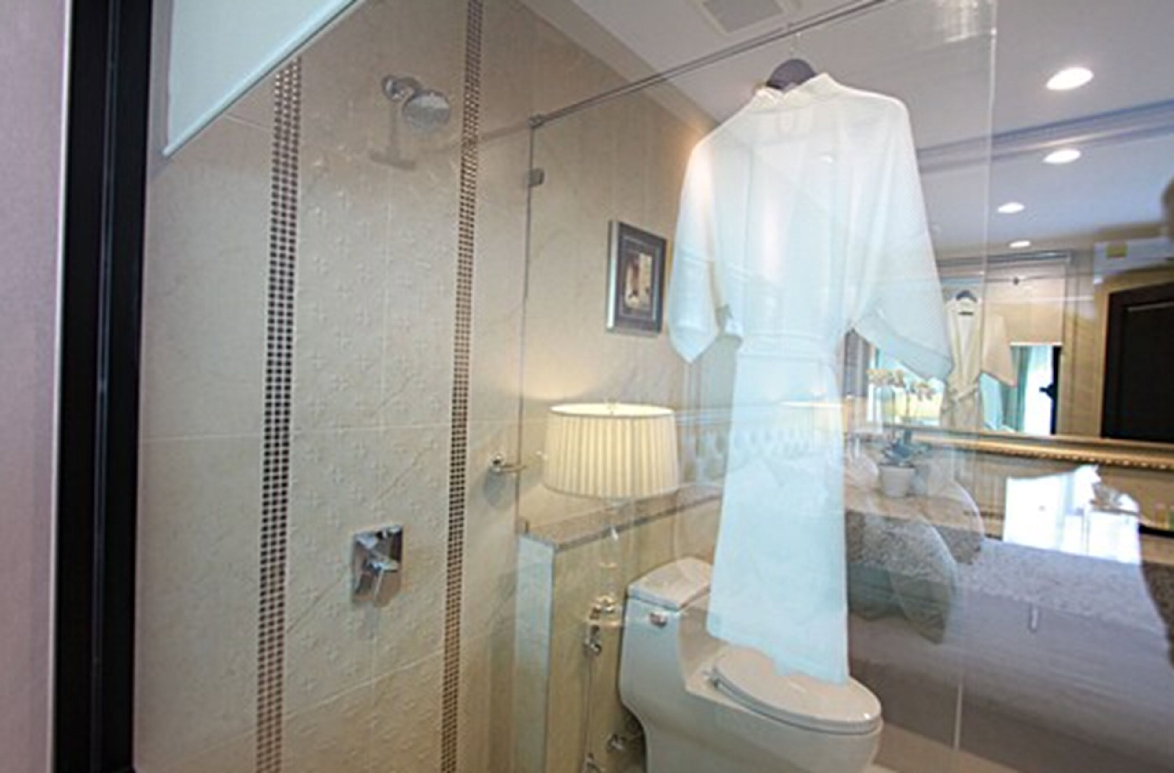 A bathroom with a glass shower enclosure, a toilet, and a large mirror reflecting a white robe hanging on a rack.