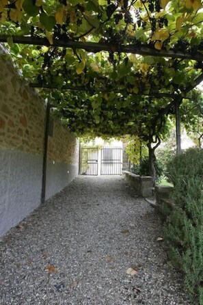 Property grounds - Agriturismo Fattoria Santo Stefano (Greve in Chianti)