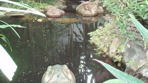 Jardín