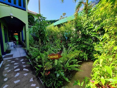 Cabinas Tortuguero Natural