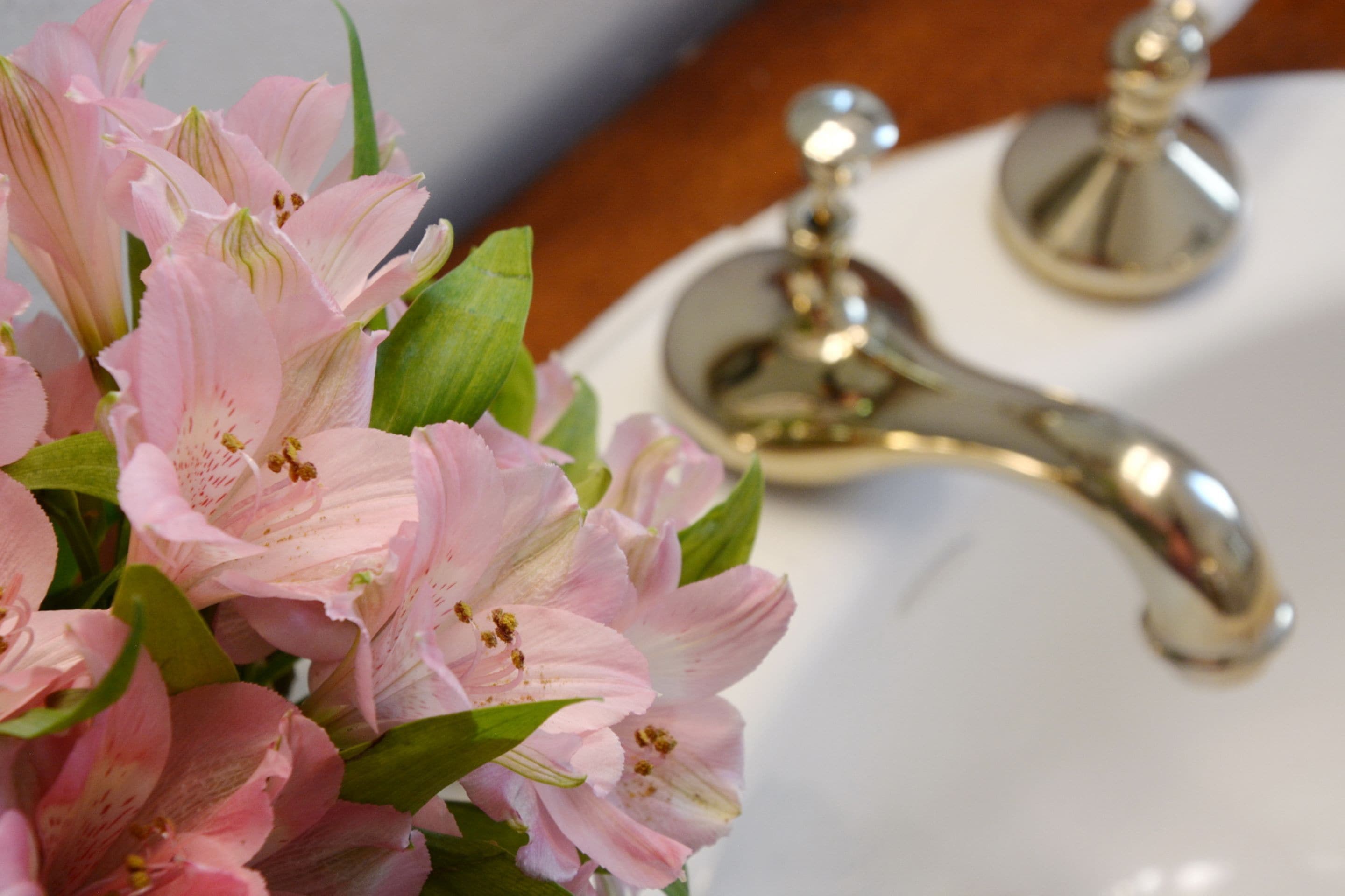 A close-up of pink flowers with a faucet and a soap dispenser in the background.