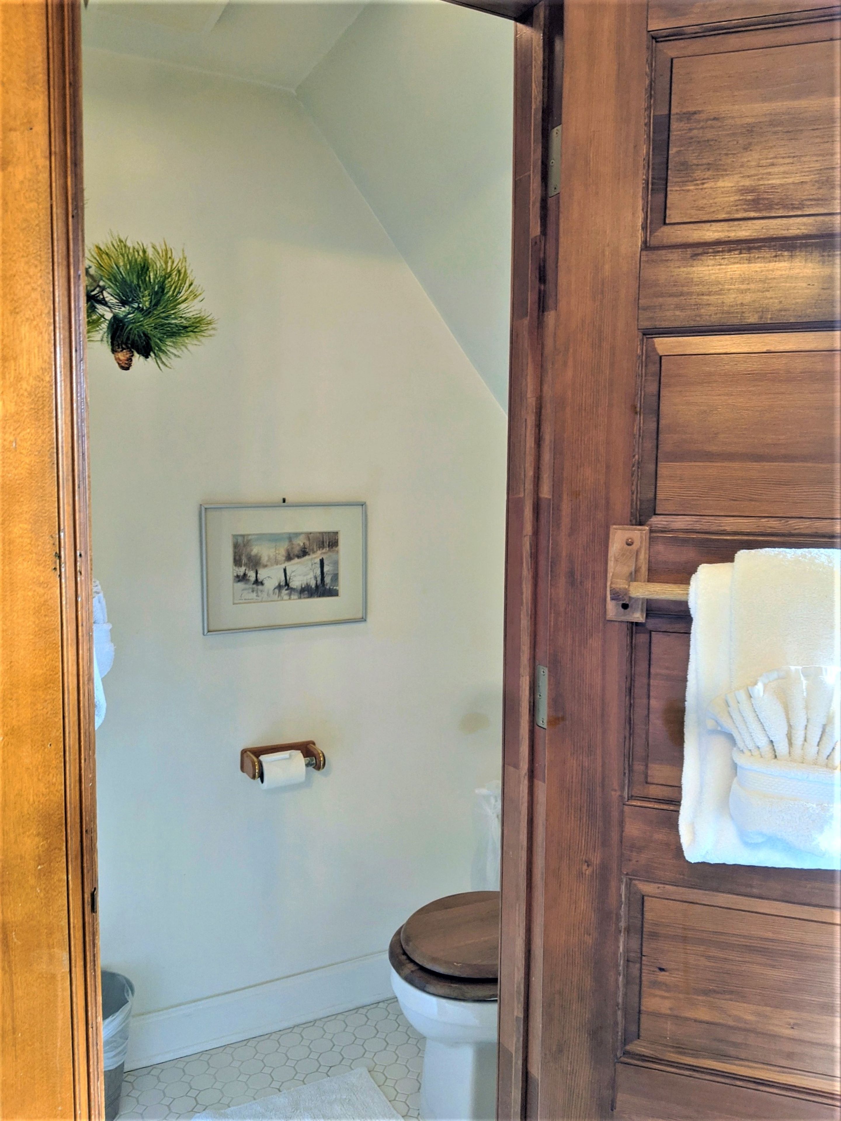 A bathroom with a wooden door, a toilet, a framed picture on the wall, and a towel rack.