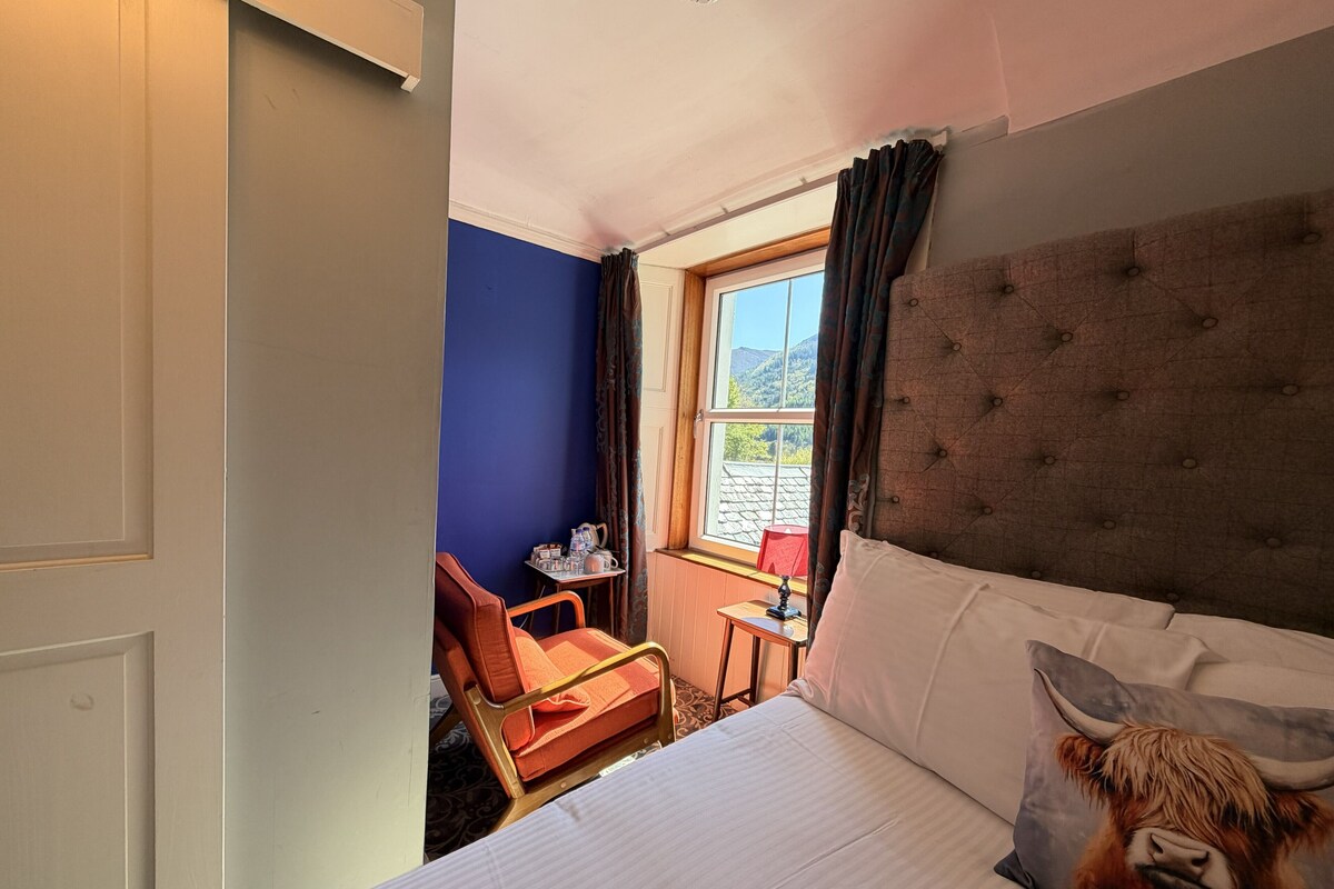 Habitación individual clásica, 1 cama matrimonial, vista al lago | Escritorio, tabla de planchar con plancha, wifi gratis y ropa de cama