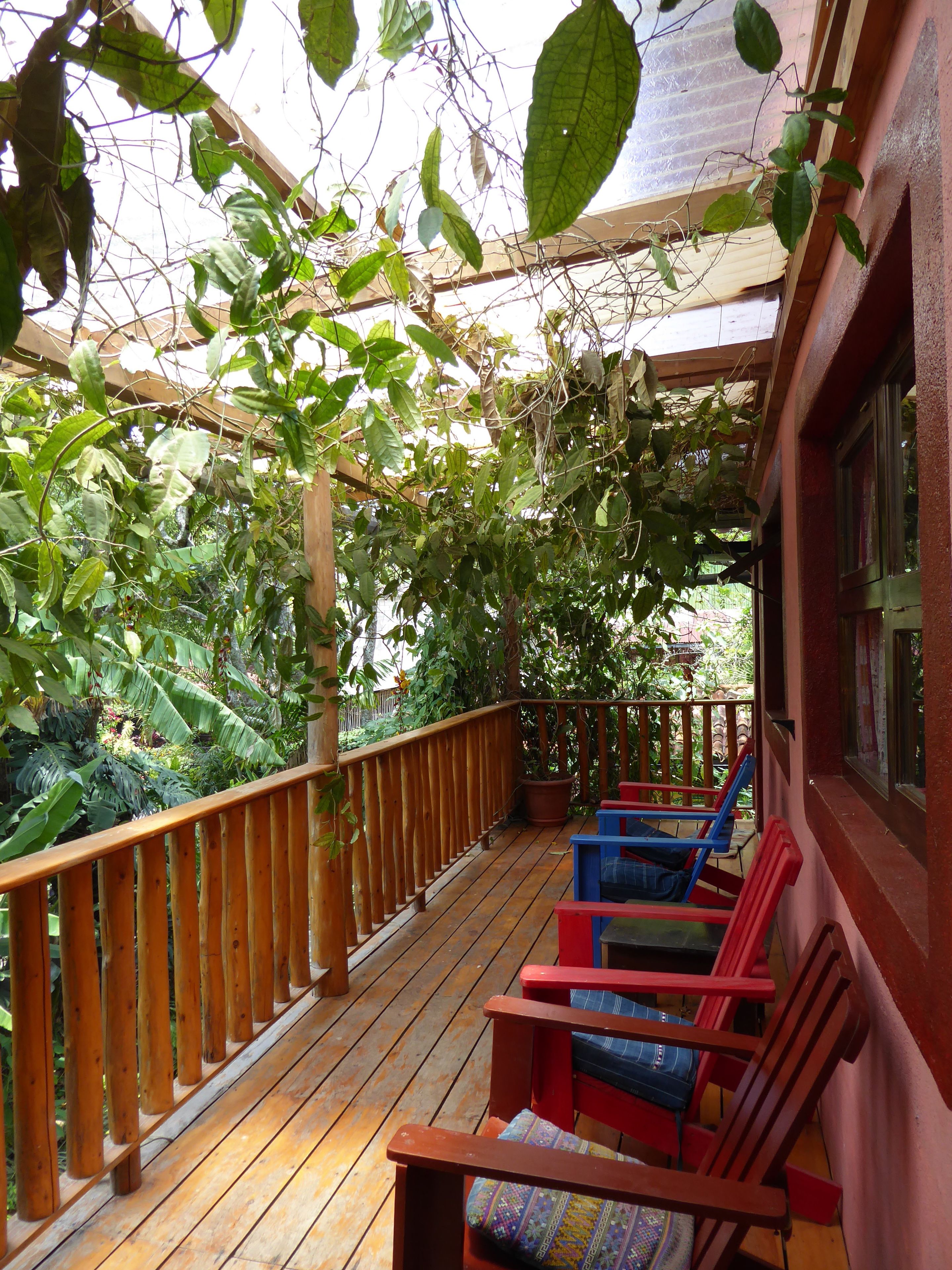 Une terrasse en bois avec une rambarde en bois, entourée d’une végétation luxuriante et de plantes en pot.