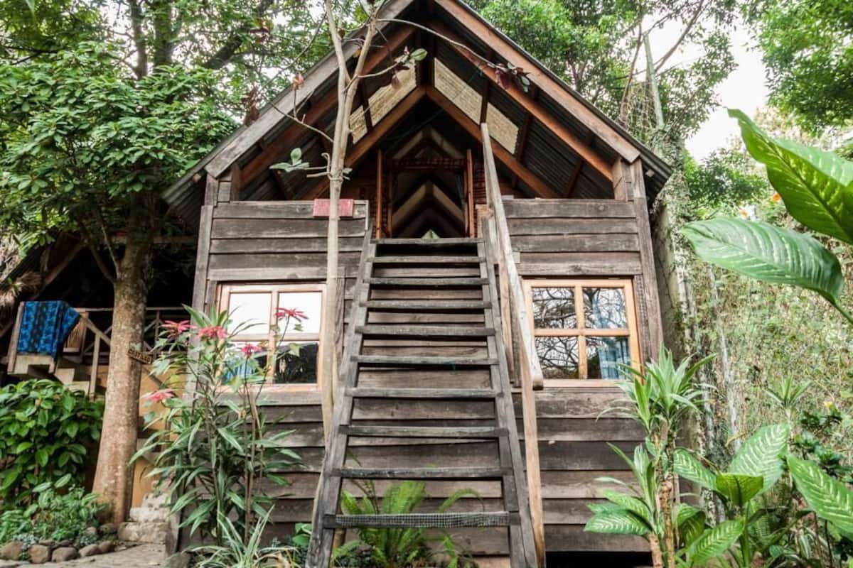 Eine rustikale Holzhütte mit einer Treppe, die zu einem Eingang mit Fenstern führt, umgeben von üppigem Grün.