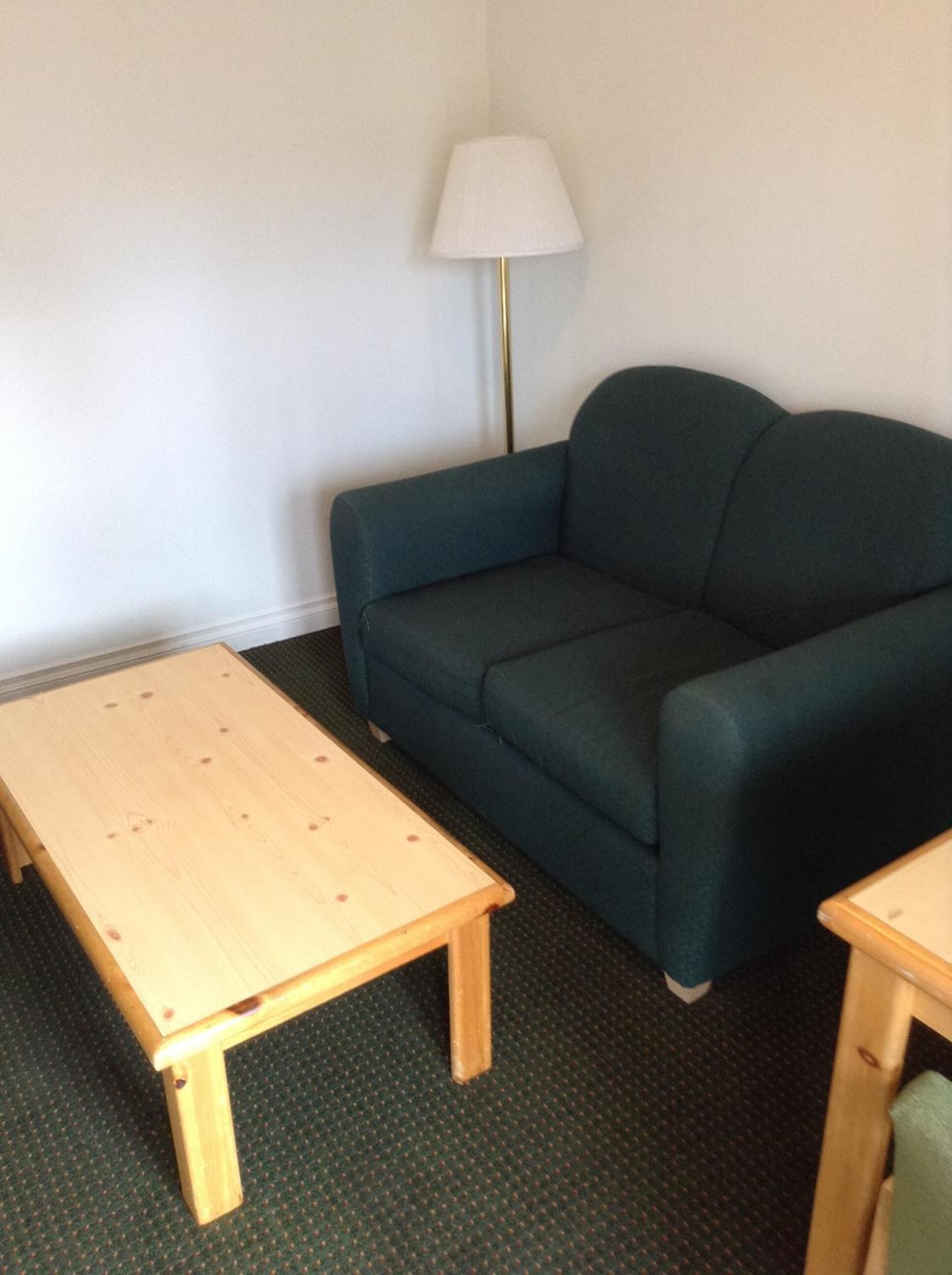 Une petite pièce avec un canapé vert, une table en bois et un lampadaire.