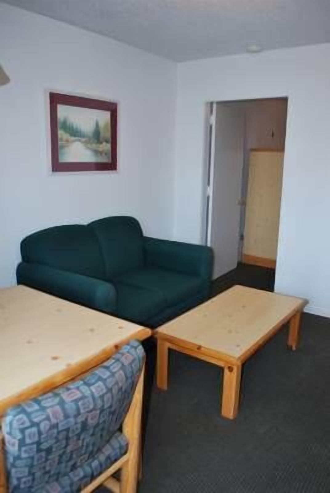 Une pièce avec un canapé vert, une table en bois et une chaise à motifs.