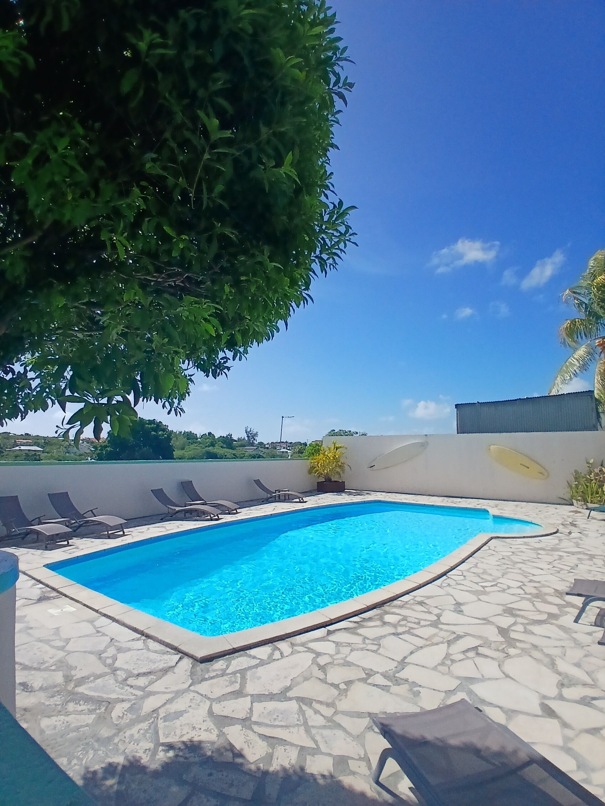 A swimming pool with lounge chairs, a stone tiled deck, and a large tree providing shade.