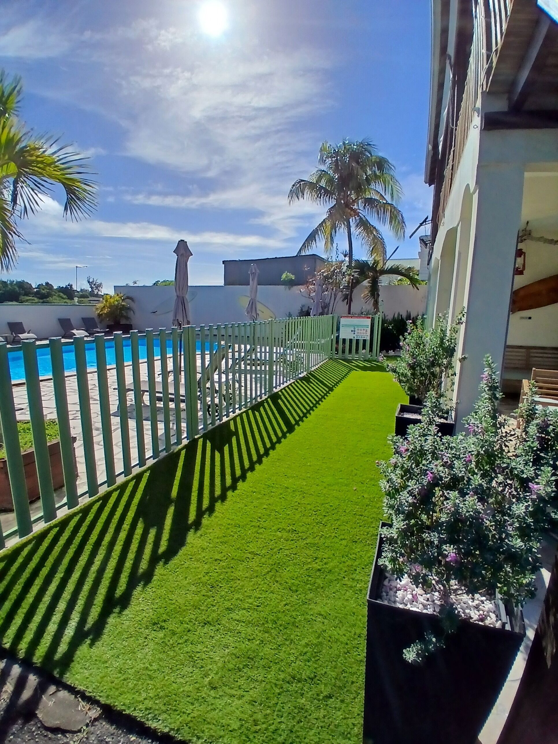 A pool area with a green artificial turf path, palm trees, and a white fence.