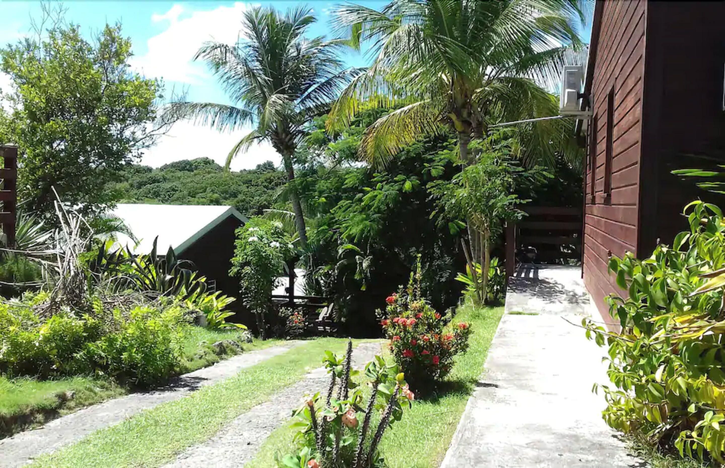 A tropical garden with a concrete path, palm trees, and a building with a red exterior.