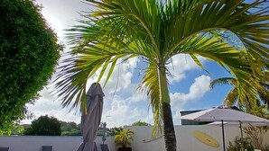 A swimming pool with lounge chairs and a palm tree. - Residence Ti Village Créole (Sainte-Anne)
