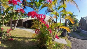 A tropical garden with palm trees and pink bougainvillea flowers, a wooden building, and a clear blue sky. - Residence Ti Village Créole (Sainte-Anne)