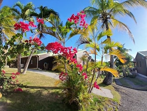 Jardín