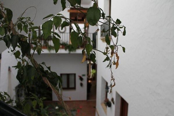 Un couloir intérieur étroit, avec un escalier menant à un niveau supérieur.