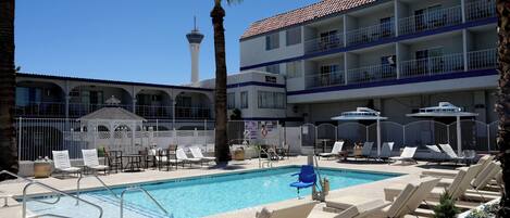 A hotel pool area with lounge chairs, a palm tree, and a view of a tower.
