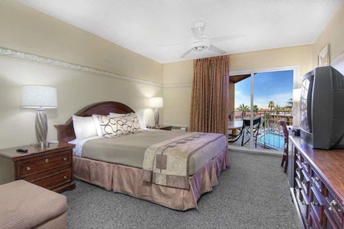 Habitación de hotel con cama, televisión, escritorio con lámpara, silla y vista a una piscina y palmeras.