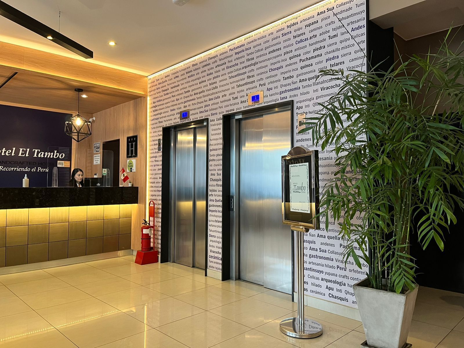 Zona de recepción de hotel con diseño moderno, que incluye un mostrador de recepción, dos ascensores y una planta en maceta.