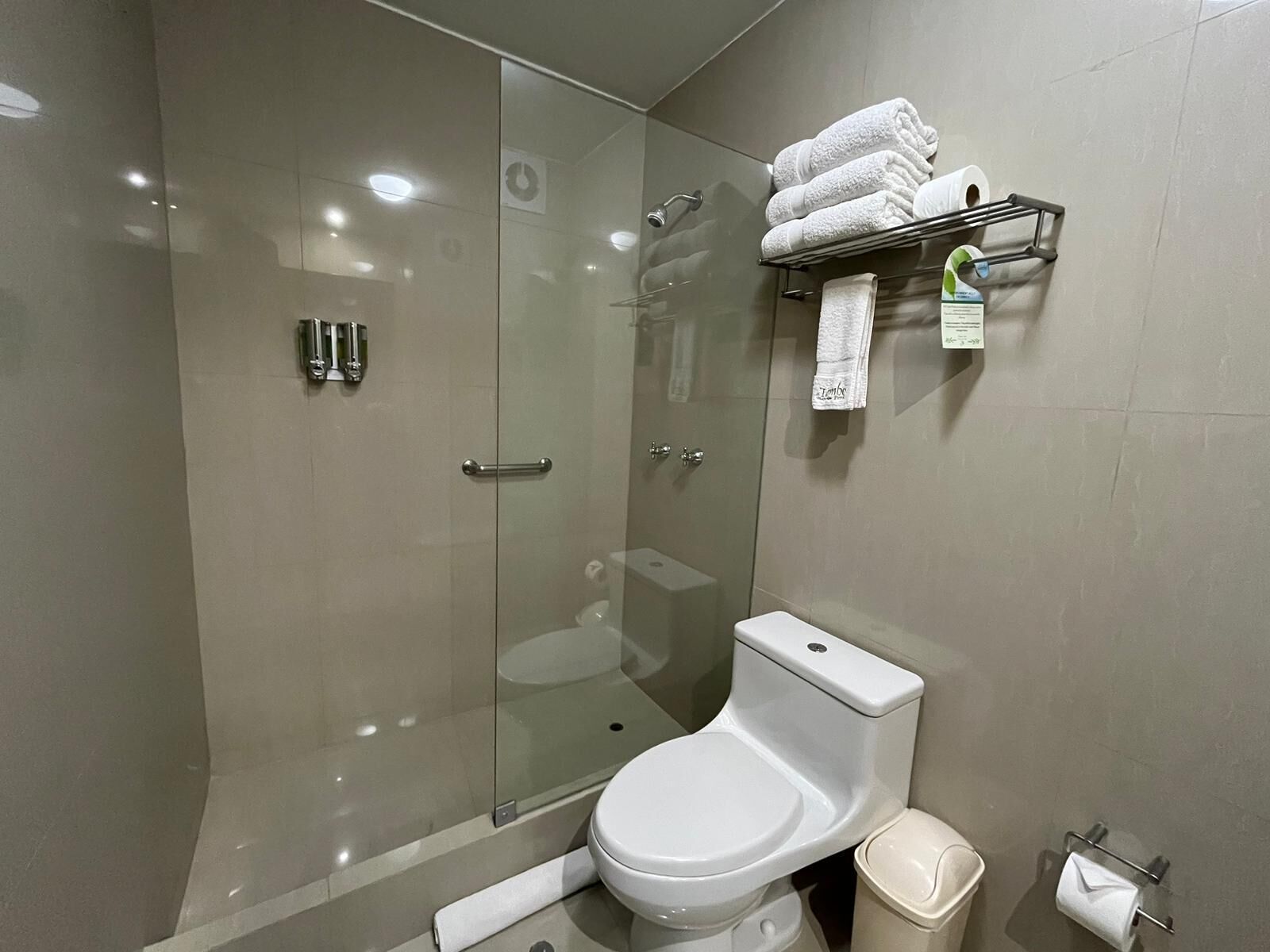 A modern bathroom with a glass-enclosed shower, a white toilet, and a towel rack with folded towels.