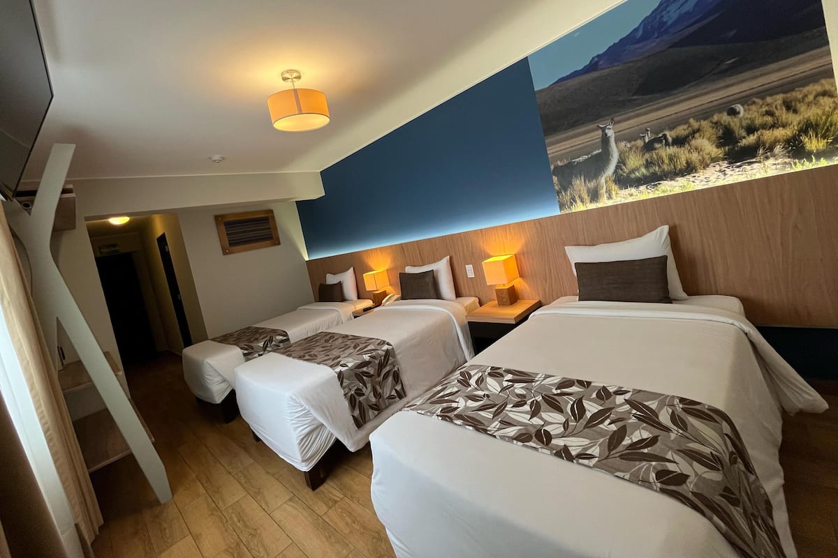 Standard Triple Room, 3 Twin Beds | 20 bedrooms, premium bedding, down comforters, in-room safe