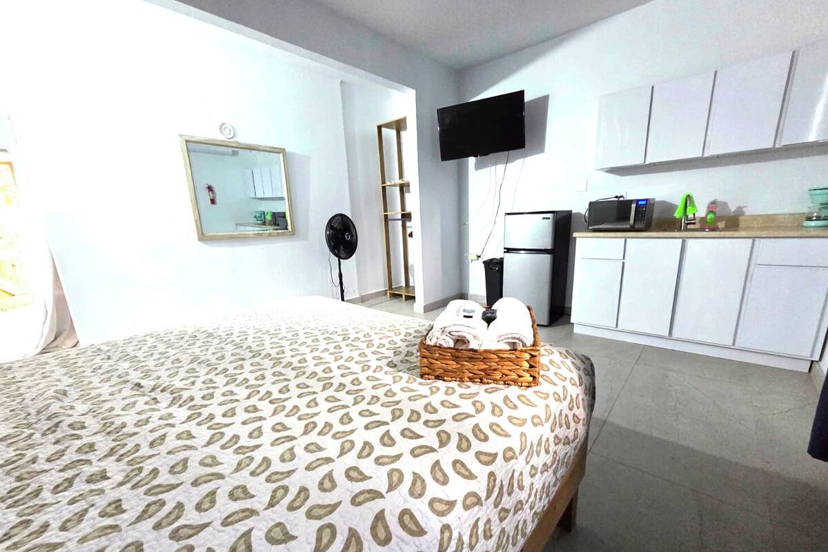 Une chambre avec un lit, une télévision, un coin cuisine et un miroir.